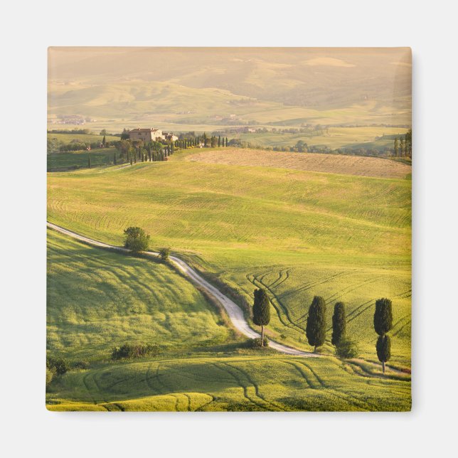 White road in Tuscany landscape magnet (Front)