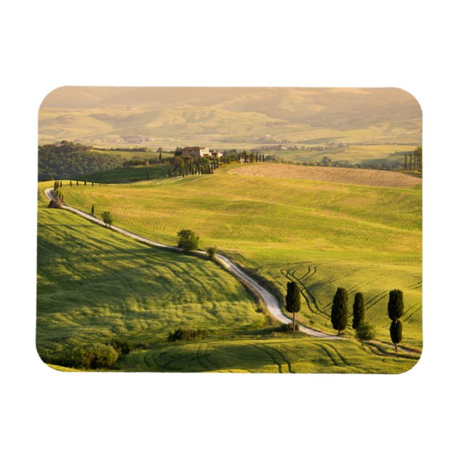 White road in Tuscany landscape rectangle magnet (Horizontal)