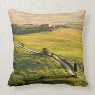 White road in Tuscany landscape throw pillow
