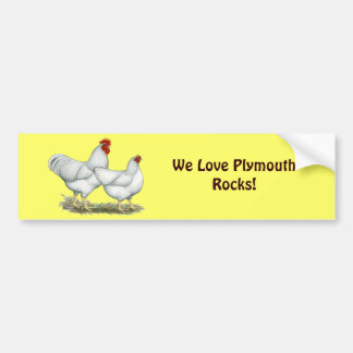 White Rock Chickens Bumper Sticker