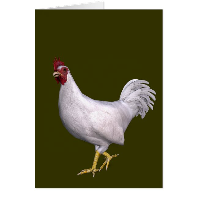 White Rooster (Front)