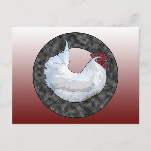 White Rooster Postcard (Front)