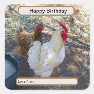 White Rooster With His Hen, Square Sticker