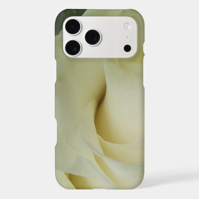 White Rose (Back)