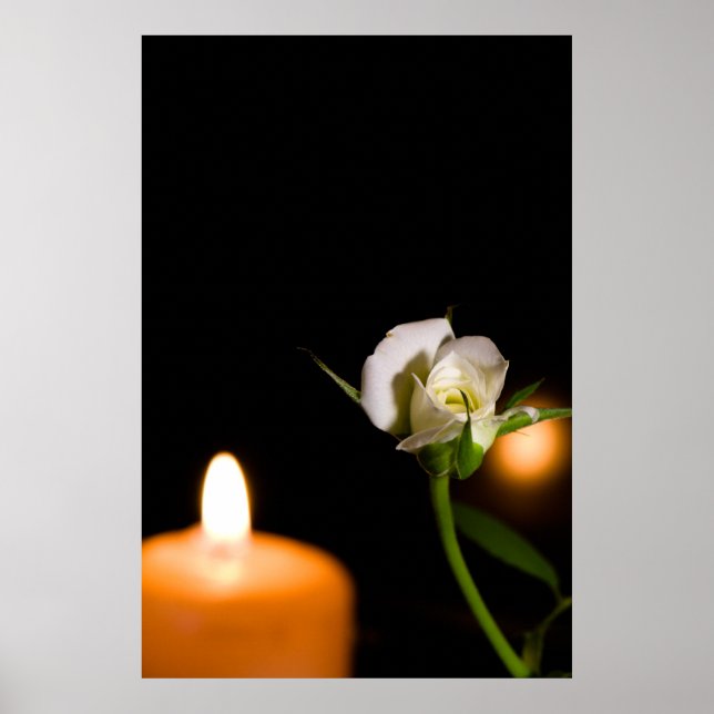 White rose and candle poster (Front)