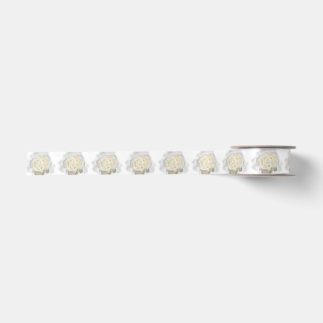 White Rose,Any Occasions_ Satin Ribbon (Front)