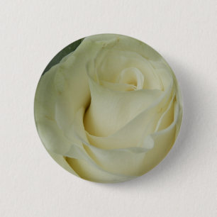 White Rose Badge