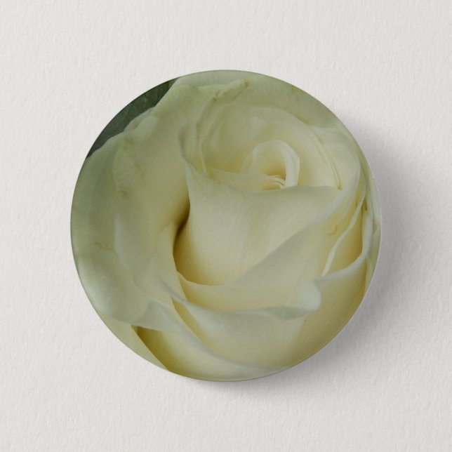 White Rose Badge (Front)