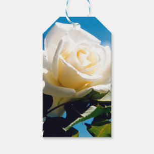 White Rose Beauty Gift Tags