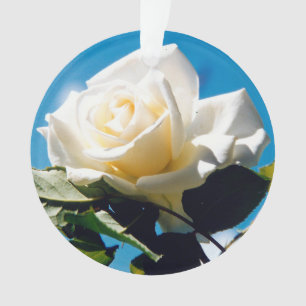 White Rose Beauty  Ornament