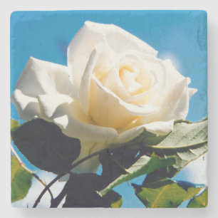 White Rose Beauty   Stone Coaster