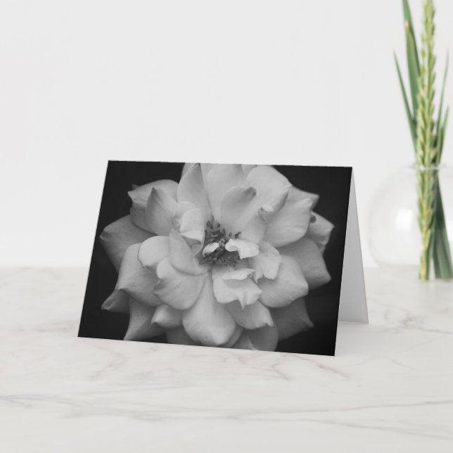 White Rose Black and White Art Note Card (Front)