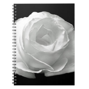 White Rose Blossoms Flowers Garden Peace Love Art Notebook
