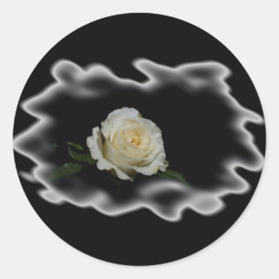 White Rose Burned Edges Classic Round Sticker