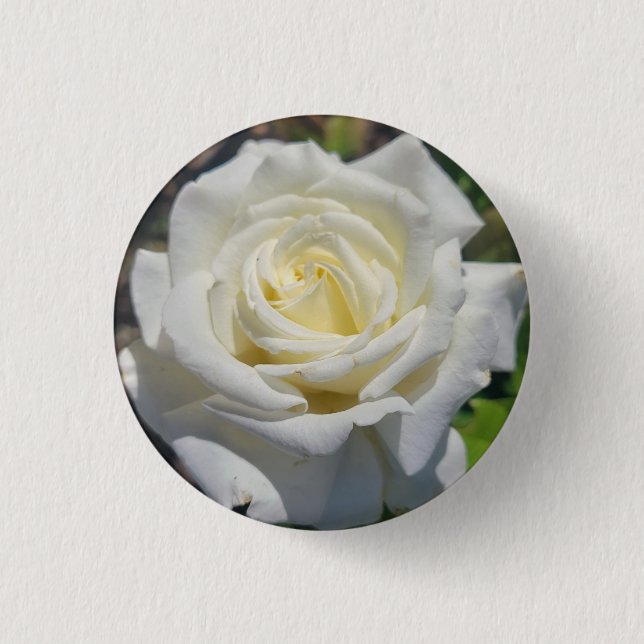 White Rose Button (Front)