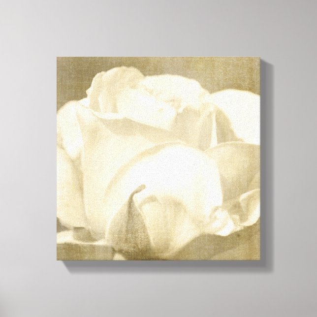 White Rose Canvas Print (Front)
