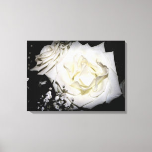 White Rose Canvas Print