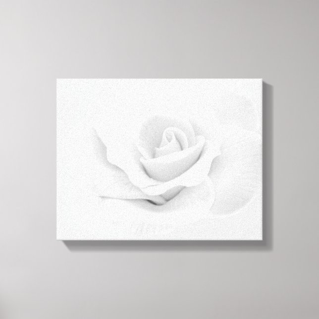 White Rose Canvas Print (Front)