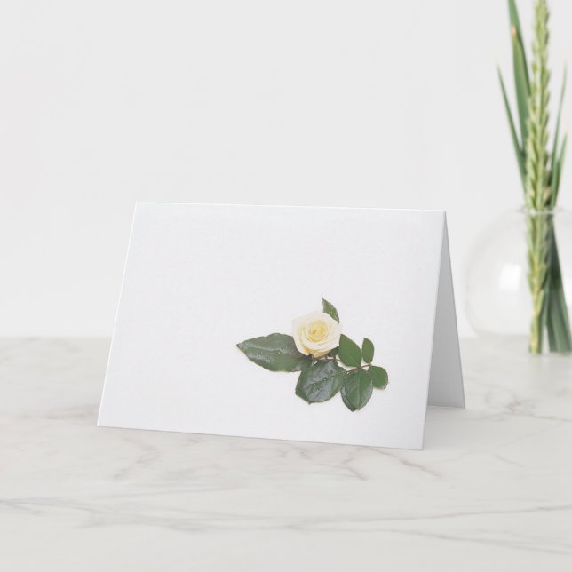 White Rose Card (Front)