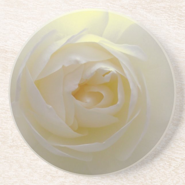 White Rose Coasters Beautiful Rose Gifts Decor (Front)