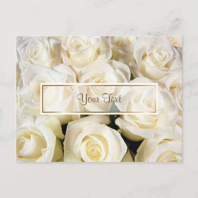 White Rose Elegance Template Postcard (Front)