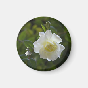 White Rose Fairy Magnet