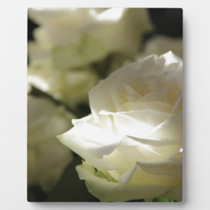 White Rose Floral Blossoms Destiny Gardens Plaque