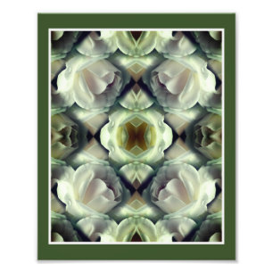 White Rose Floral Mirror Abstract Art 8x10 Photo Print