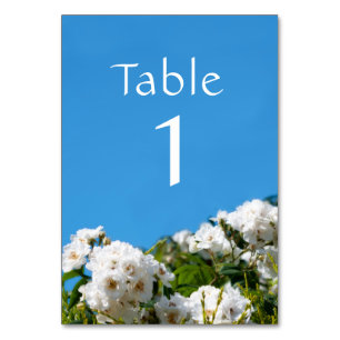 White rose floral table number
