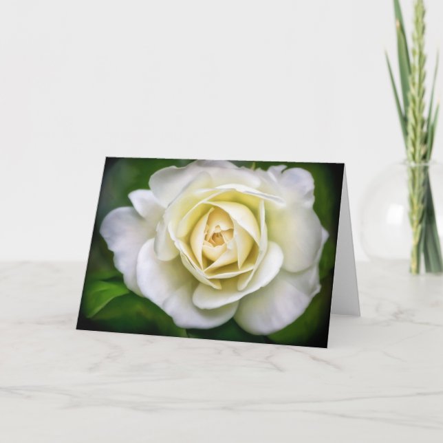 White Rose Flower Art Blank Note Card (Front)