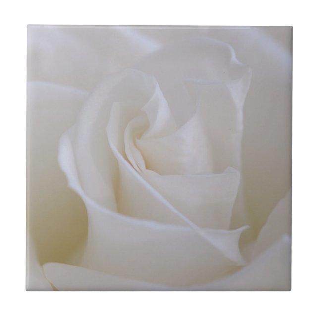 White Rose Flower Ceramic Tile (Front)