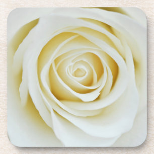 White rose flower Coaster
