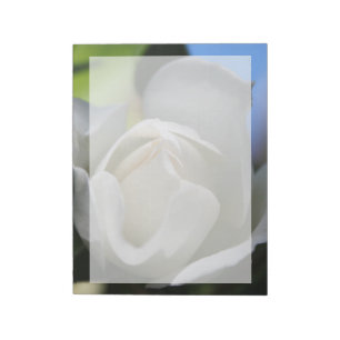 White rose flower. Floral photography. Notepad