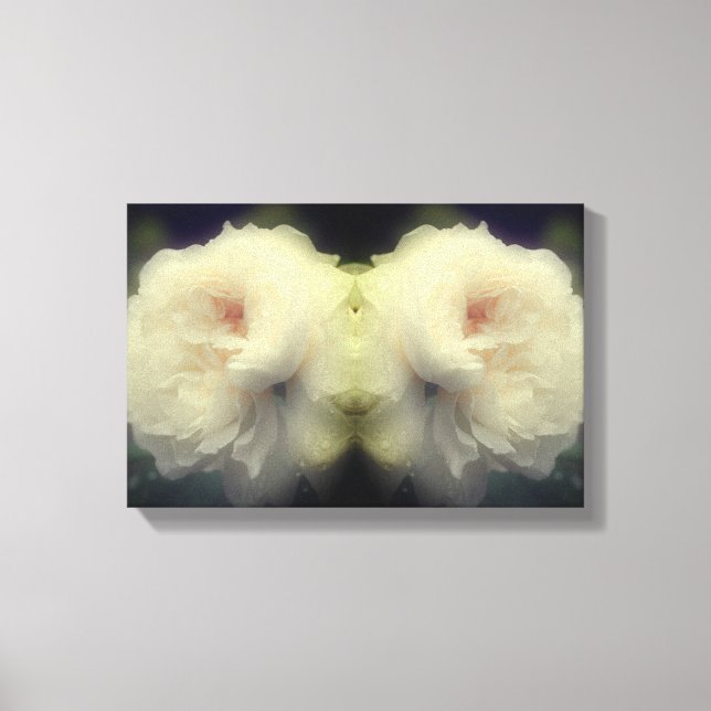 White Rose Flower In Bloom Abstract Canvas Print (Front)