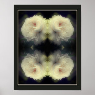 White Rose Flower In Full Bloom Abstract Poster