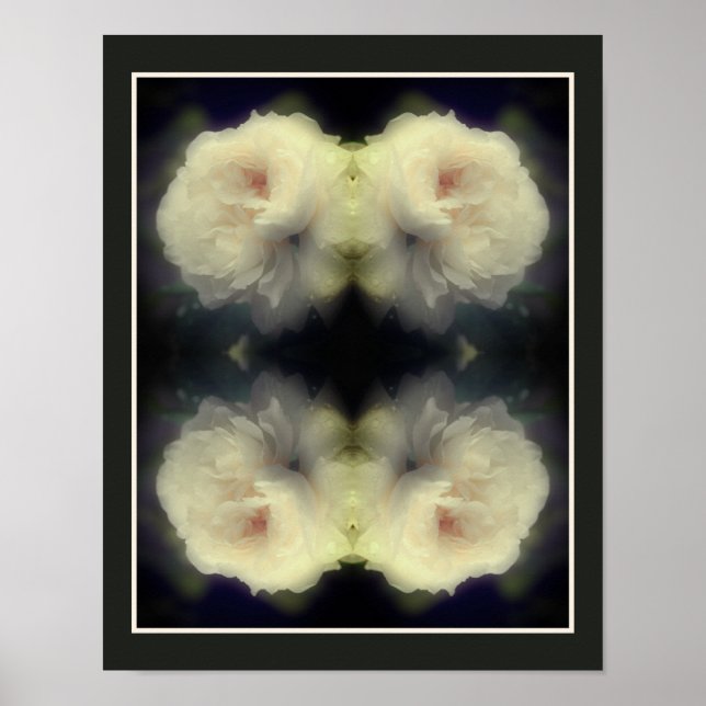 White Rose Flower In Full Bloom Abstract Poster (Front)