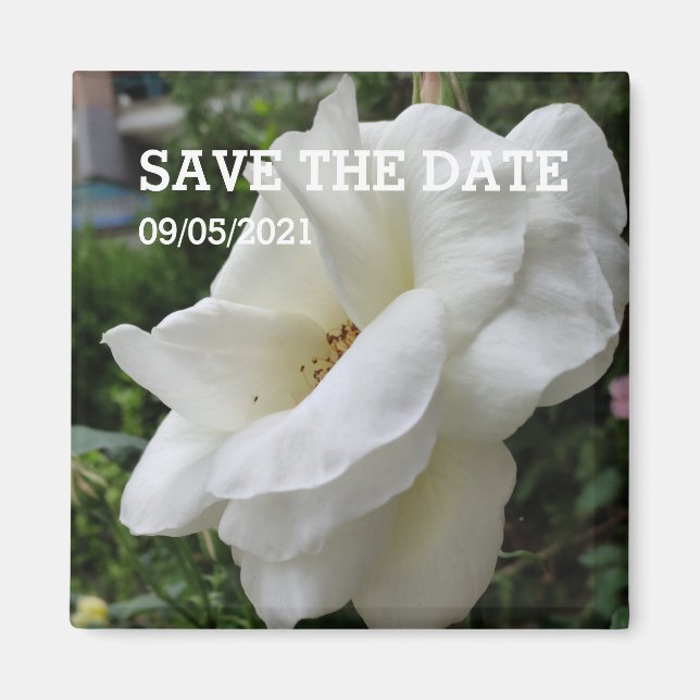 White rose flower magnet (Front)