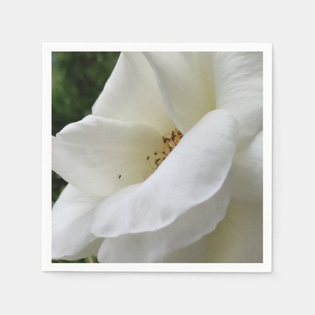 White rose flower napkins (Front)