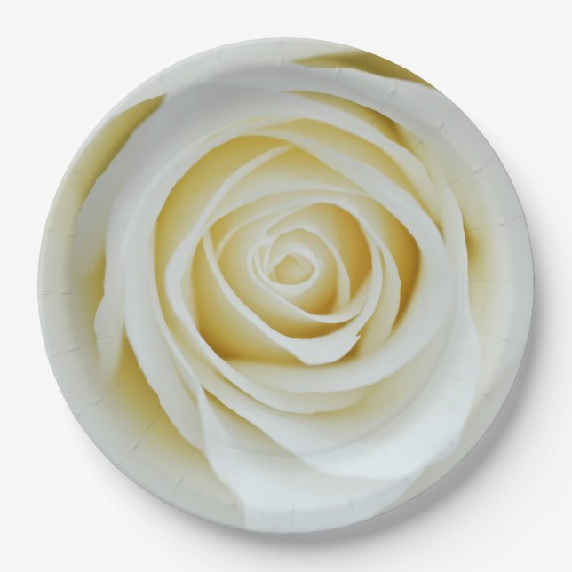 White rose flower Paper plate (Front)
