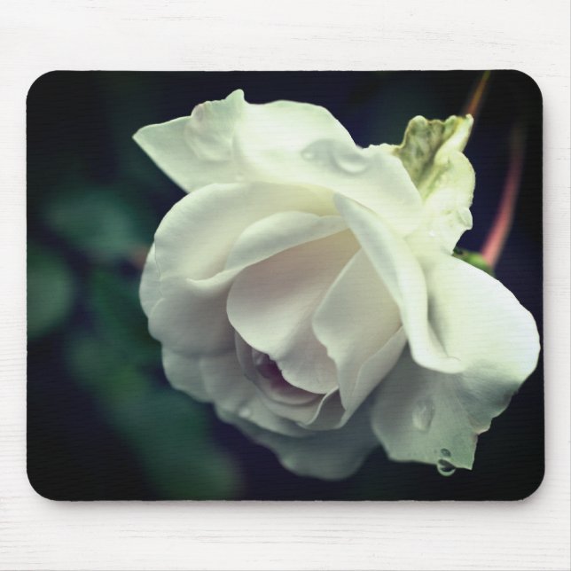 White Rose Flower Raindrop Mouse Pad (Front)