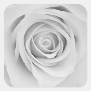 White rose flower Stickers
