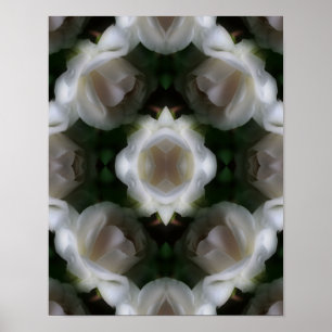 White Rose Flowers Abstract Poster
