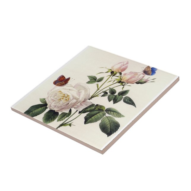 white  rose  flowers, Pierre Joseph Redouté Tile (Side)