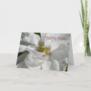 White Rose for Mum Card