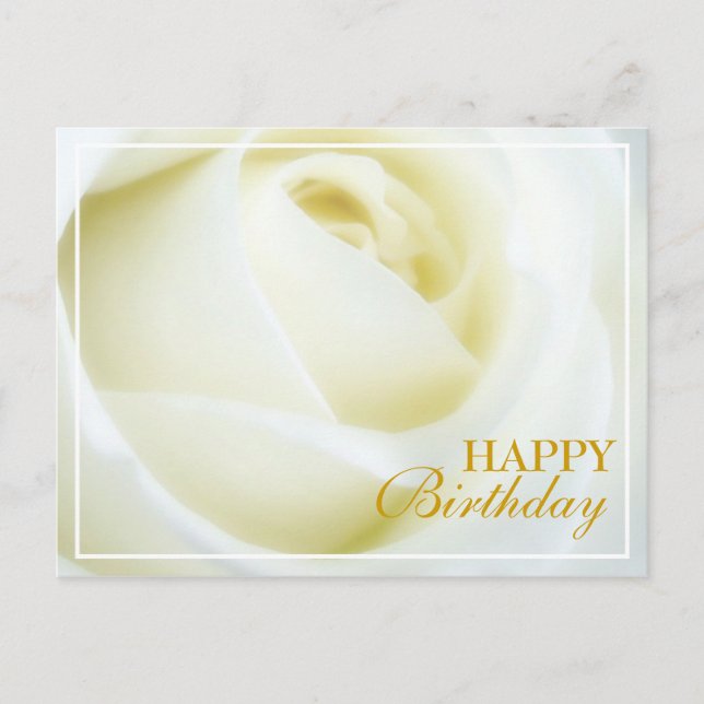 White Rose Happy Birthday Postcard (Front)