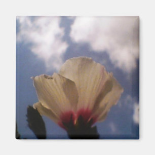 White Rose in the Cloudy Blue Sky Magnet