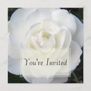 White Rose Invitations