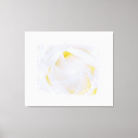 *~* White Rose Macro Floral Abstract Grunge AR8
