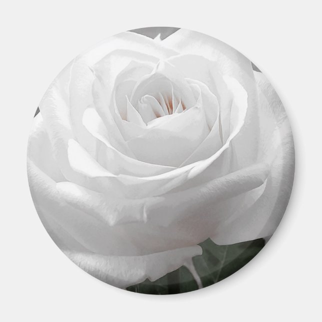 White Rose Magnet (Front)