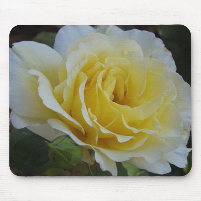 White Rose Mouse Pad (Front)